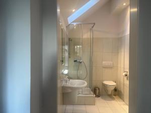 a bathroom with a shower and a sink and a toilet at Dom pod lesom v Borinke in Stupava +44 photos
