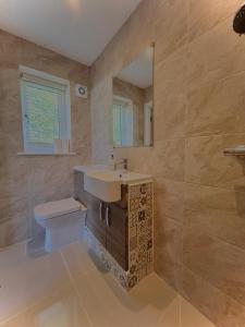 a bathroom with a sink and a toilet and a mirror at The lighthouse in St Ives