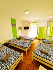 four beds in a room with green walls and wooden floors at Croparadise Central in Split