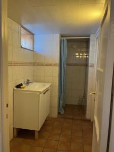 a small bathroom with a sink and a shower at Tenant Farm House in Dverberg +32 photos