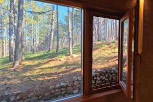 a window with a view of a forest at The Forest Sea Dome in Varna City