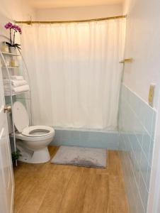 a bathroom with a toilet and a shower at One bedroom,central location Wifi&Ac in Cancino