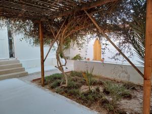 a tree in front of a building with a door at Djerba Beach Haven in Aghīr