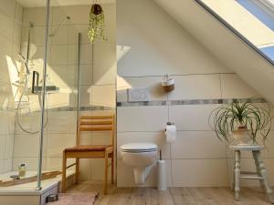 a bathroom with a toilet and a glass shower at Ferienwohnung Storchennest Vipperow in Ludorf +21 photos