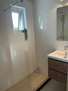 a bathroom with a shower with a sink and a mirror at Vakantiewoning 'Eysinga State' in Sint Nicolaasga +24 photos