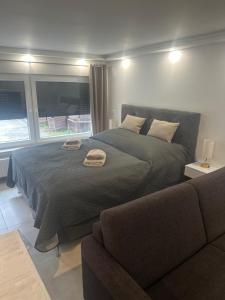 a bedroom with a large bed and a couch at LaTerrazzaA1 in Hamm