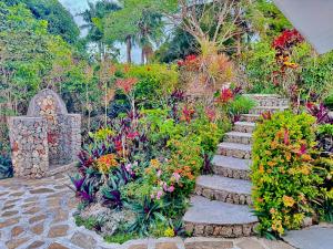 a garden with a bunch of flowers and stairs at Casa Caracol Los Farallones in Cabrera