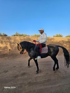 a man riding a black horse in the desert at Muma Lodge in Bouihat