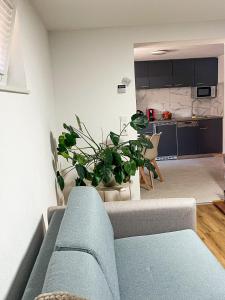 a living room with a couch and a kitchen at Ferienwohnung Alecasa in Gailingen +7 photos