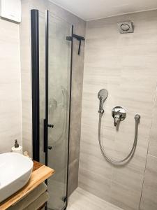 a bathroom with a shower and a sink at Ferienwohnung Alecasa in Gailingen