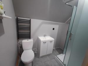 a bathroom with a toilet and a sink and a shower at Duży dom w lesie in Zatory +9 photos