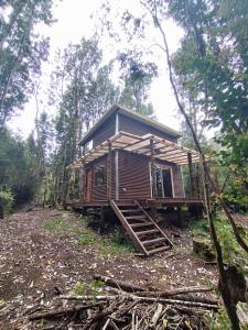 a wooden cabin in the middle of a forest at Refugió Chaicura in Chonchi