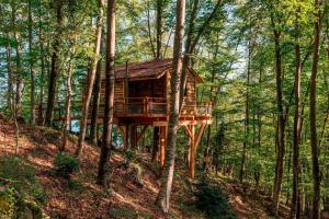 a tree house in the middle of the forest at Cabanyes entre Valls in Vall de Bianya