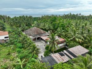 an aerial view of a resort in a banana plantation at Mulei homestay in Wainapal