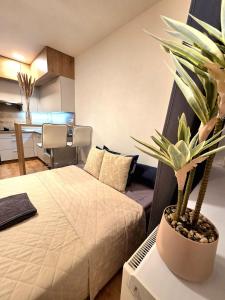 a bedroom with a bed and a table with a potted plant at Apartmán Bratislava Ružinov in Nivy