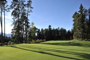 a view of a golf green with trees and a flag at Hotel Peter in Petersberg