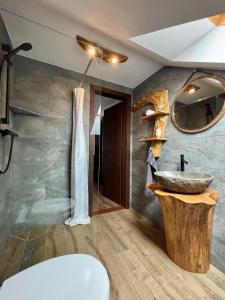 a bathroom with a sink and a mirror at JakLak in Izvoare +24 photos