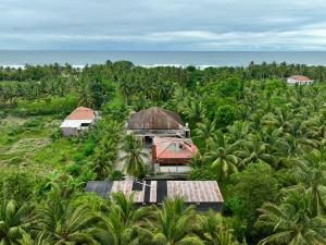 an aerial view of a resort in a banana plantation at Mulei homestay in Wainapal +11 photos