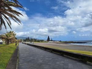 a sidewalk next to a beach with a palm tree at AzoreanStar Accommodations in Ponta Delgada