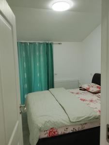 a bedroom with a bed with a green curtain at Focsani Casa cris in Focşani +14 photos