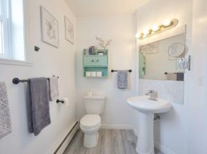 a white bathroom with a toilet and a sink at Summer Sale 1BR Big Kitchen by River and Trails in Bridgewater