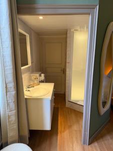 a bathroom with a white sink and a mirror at Le Cozy in Saint-Jean-Poutge +43 photos
