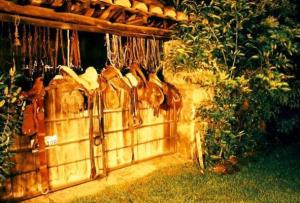 Zahrada ubytování Hacienda Hato Verde