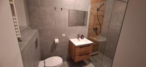 a bathroom with a shower and a sink and a toilet at Magma Grzybowo in Grzybowo +52 photos