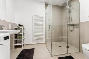 a bathroom with a shower and a toilet and a sink at BohnApartments Dümmer See Suites, Top Lage 350 m zum See, Balkon, WLAN, Parkplatz in Lembruch +15 photos