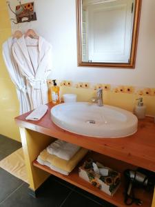 a bathroom with a sink and a mirror at Masoe des Chatards in Neuilly-le-Réal