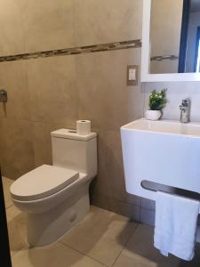 a bathroom with a toilet and a sink at Hotel y Motel Elegantia in Tetelco +3 photos