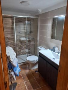 a bathroom with a toilet and a shower and a sink at Casa da Ti Joana in Aranhas
