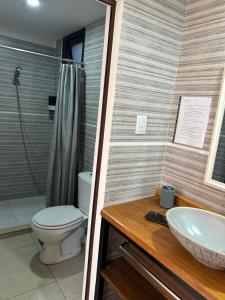 a bathroom with a toilet and a sink at Departamento para 2 pers con vista a las sierras OC in Villa Giardino +11 photos