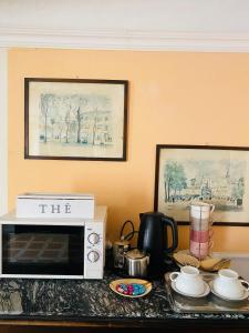 a microwave sitting on top of a counter in a room at Foresteria di Palazzo Picedi - Historic Rooms Sarzana in Sarzana