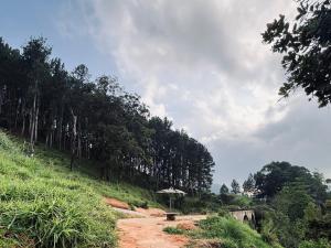 a dirt road with an umbrella on a hill at Cinderella three arch view in Ella