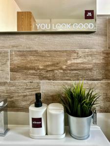 a bathroom sink with two bottles of soap and a plant at The Attic in Civitavecchia +11 photos