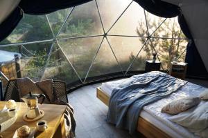 a bedroom with a bed and a large window at Glamping Podniebny in Borsk