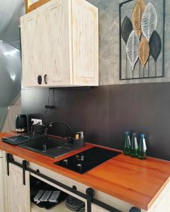 a kitchen with a sink and a counter top at Glamping Podniebny in Borsk +21 photos