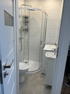 a bathroom with a shower and a toilet and a sink at Studio pod Orzechem in Zbąszyń