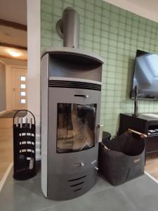 a stove sitting on a counter in a kitchen at Apartment Elli in Lichtenhain