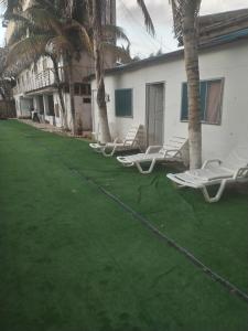 a row of lounge chairs and palm trees in front of a building at Hostel Angeles del Mar in San Antonio