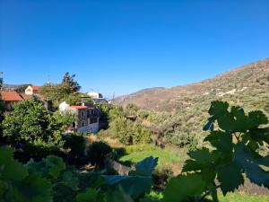 a house on a hill in a vineyard at Elafonisos Rooms in Kefálion
