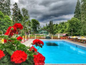 a swimming pool with red flowers in front of it at Vila TeoNa in Topliţa
