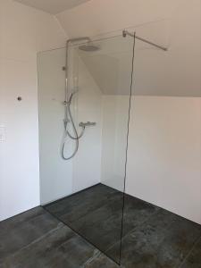 a shower with a glass door in a bathroom at Ferienhaus Emilius in Butjadingen