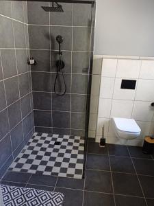 a bathroom with a shower stall with a toilet at Wembley guesthouse in Plumstead