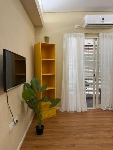 a living room with a tv and a plant at Hostel 555 in La Plata