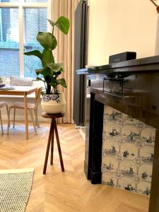 a living room with a black fireplace with a potted plant at Bij de Kerk in Doesburg