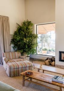 a living room with a couch and a coffee table at Casa Torrenueva - Luxury Country House in Lebrija +33 photos