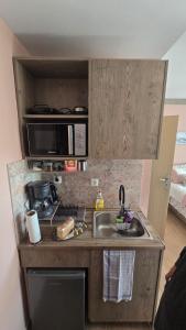 a small kitchen with a sink and a microwave at Semelia & Maria's Guest Houses - Cozy Stay for 2 in Spata