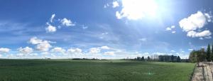 a large green field with the sun in the sky at Hotel Recio in Santa Olalla de Toledo